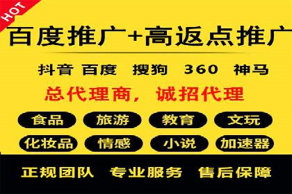 百度竞价SEM案例：揭秘高效广告投放技巧